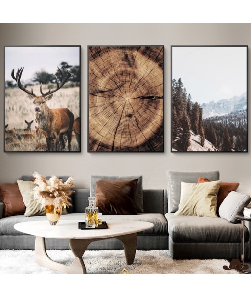 Tableau Western Renne soldes