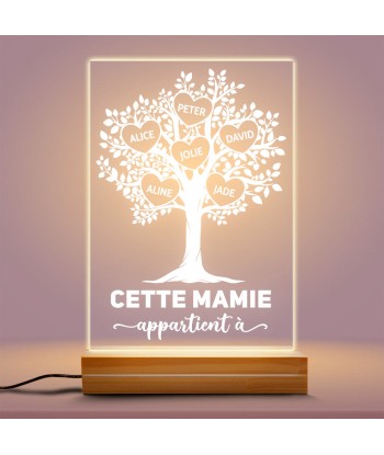 Cette Mamie Appartient À - Cadeau Personnalisé | Veilleuse LED 3D pour Mamie Maman une grave pollution 