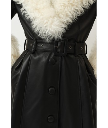 Foxy Shearling Coat — Black / Cloud les ctes