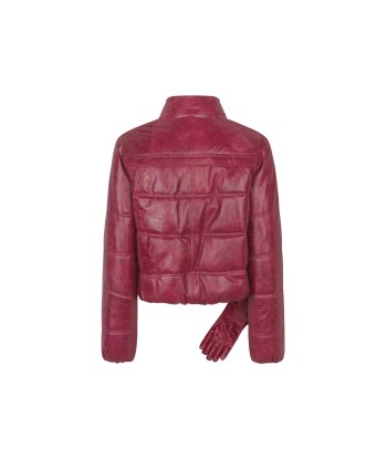 Franklin Jacket — Dark Pink pas chere