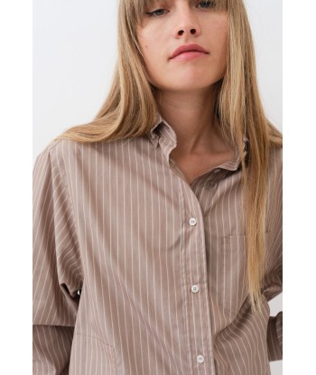 William Shirt — Brown Shadow Stripe Economisez 