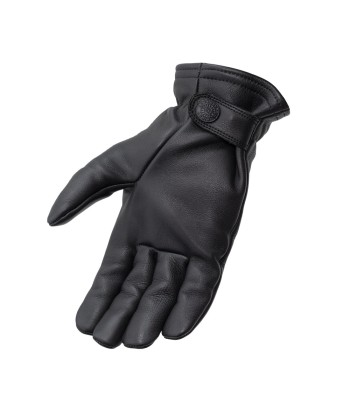 Pursuit Glove d'Europe débarque