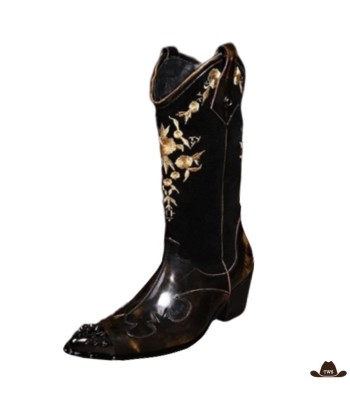 Bottes Western Cuir en ligne des produits 